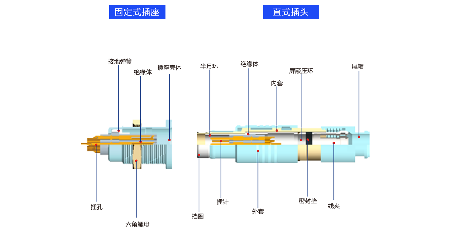 1626683827879096.png 解剖F.png