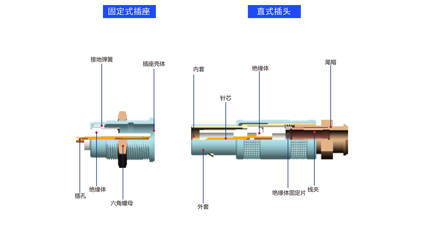 1626684595531012.png 解剖同軸.png