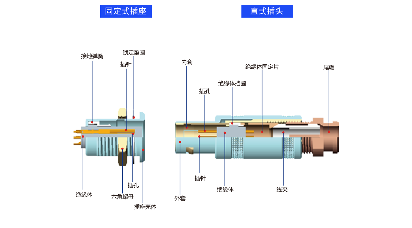 1626684961987235.png 解剖S.png