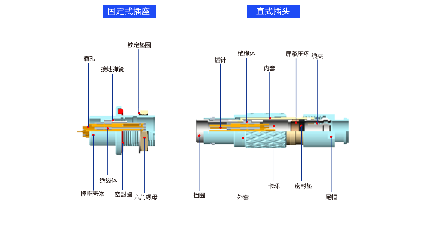 1626685441500803.png 解剖M.png