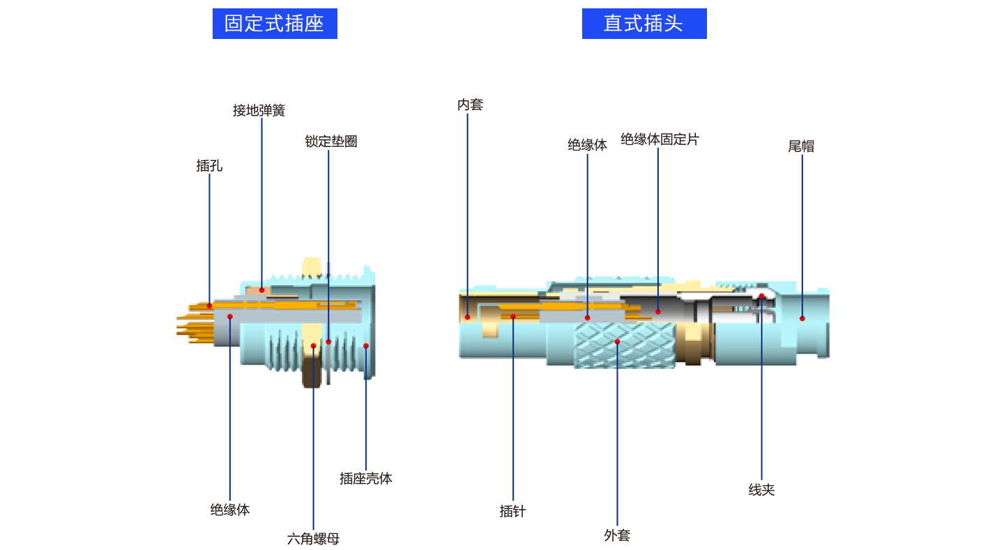 1626686797127856.png 解剖B.png